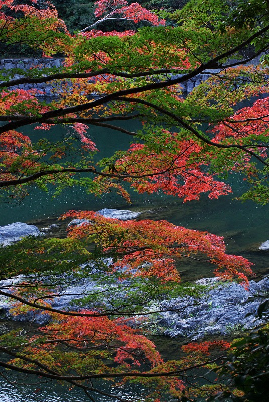紅葉の錦 花景色 K W C Photoblog 紅葉の錦 花景色 K W C Photoblog