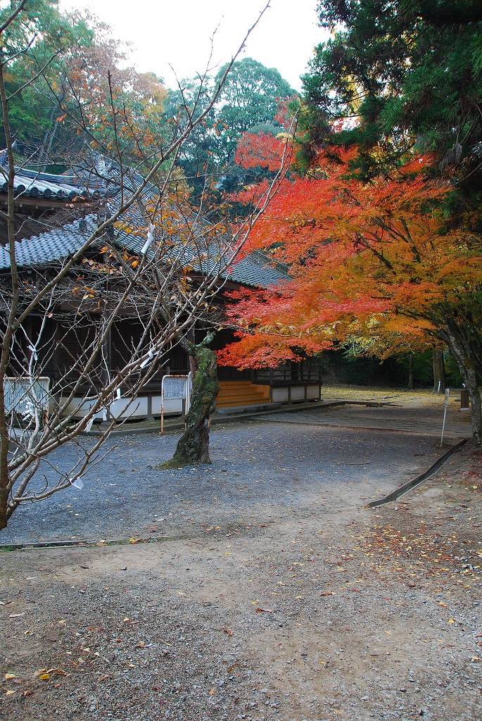 2007・11・24（土）　三原　海霧・仏通寺・御調八幡宮_f0137351_10425665.jpg