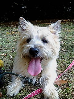 e0030663_20125583.jpg