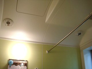 f0052068_5282996.jpg