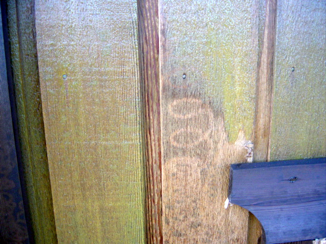 a0033770_8173080.jpg