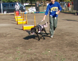 b0003270_2025465.jpg