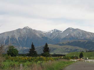 New Zealand vol.3　「　Tranz Alpine Train　」_a0086274_17115452.jpg