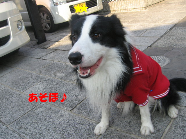 e0117976_13111790.jpg