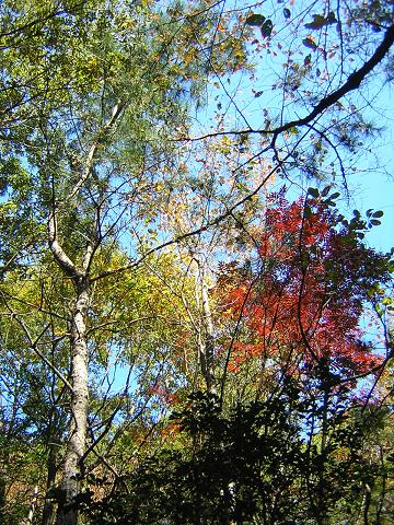 c0135480_0185241.jpg