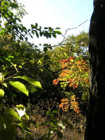 c0135480_02173.jpg