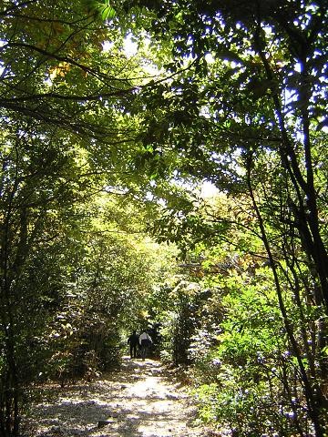c0135480_0402933.jpg