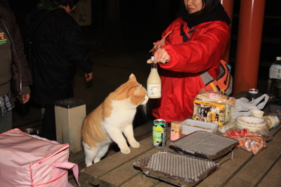 ファイナル夜百　闇鍋会　（王国）_c0129381_09359.jpg