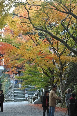 両子寺（ふたごでら）_a0082884_1039558.jpg