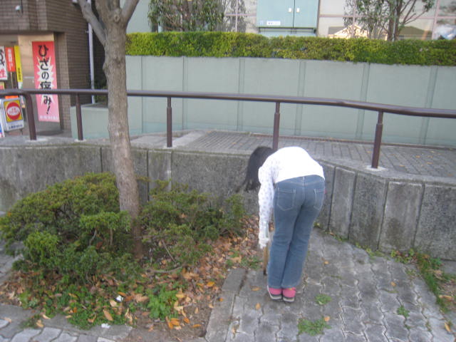 d0116891_1853354.jpg