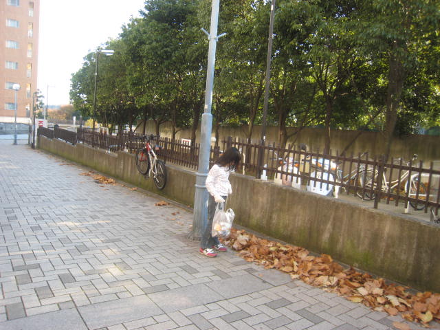 d0116891_186029.jpg