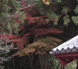 c0108693_21551164.jpg