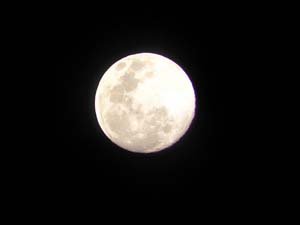 e0120896_7125926.jpg