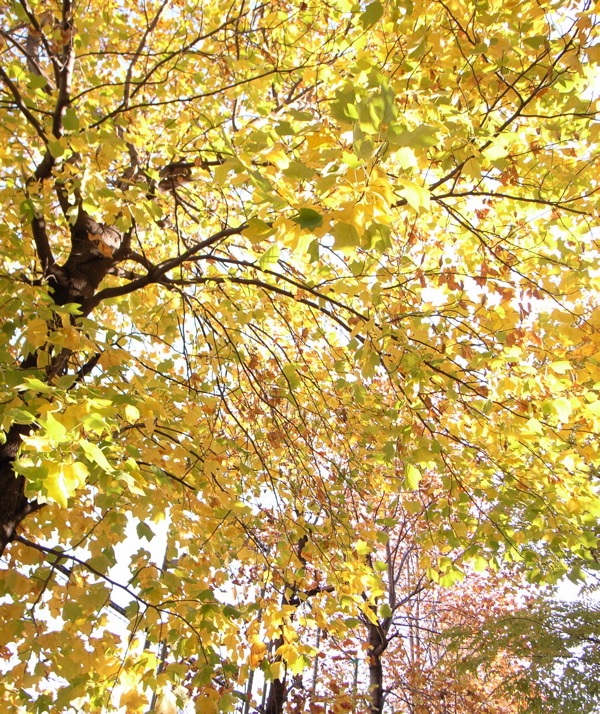 c0015099_2181784.jpg