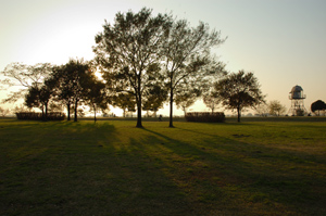 c0148401_2017144.jpg