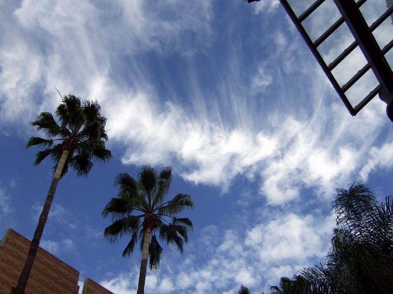 c0043403_2162976.jpg