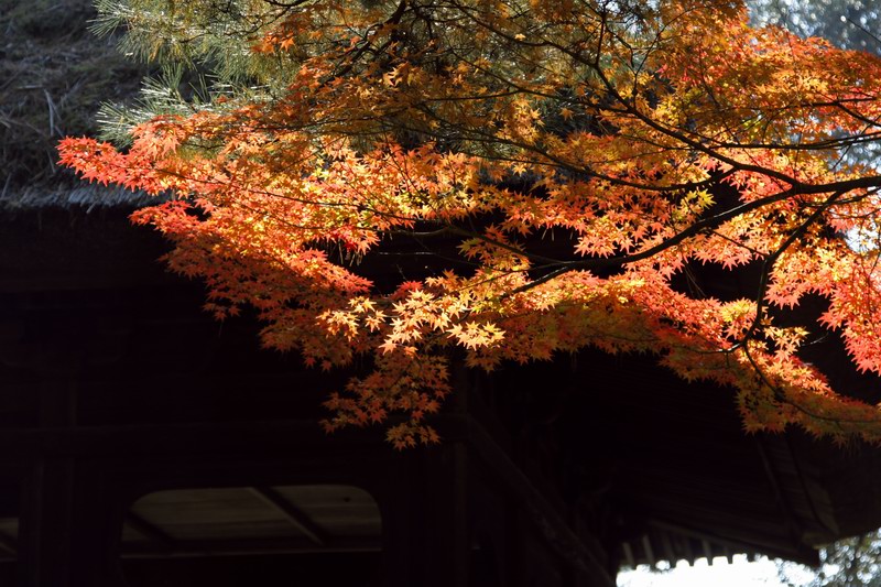 c0043403_2217186.jpg