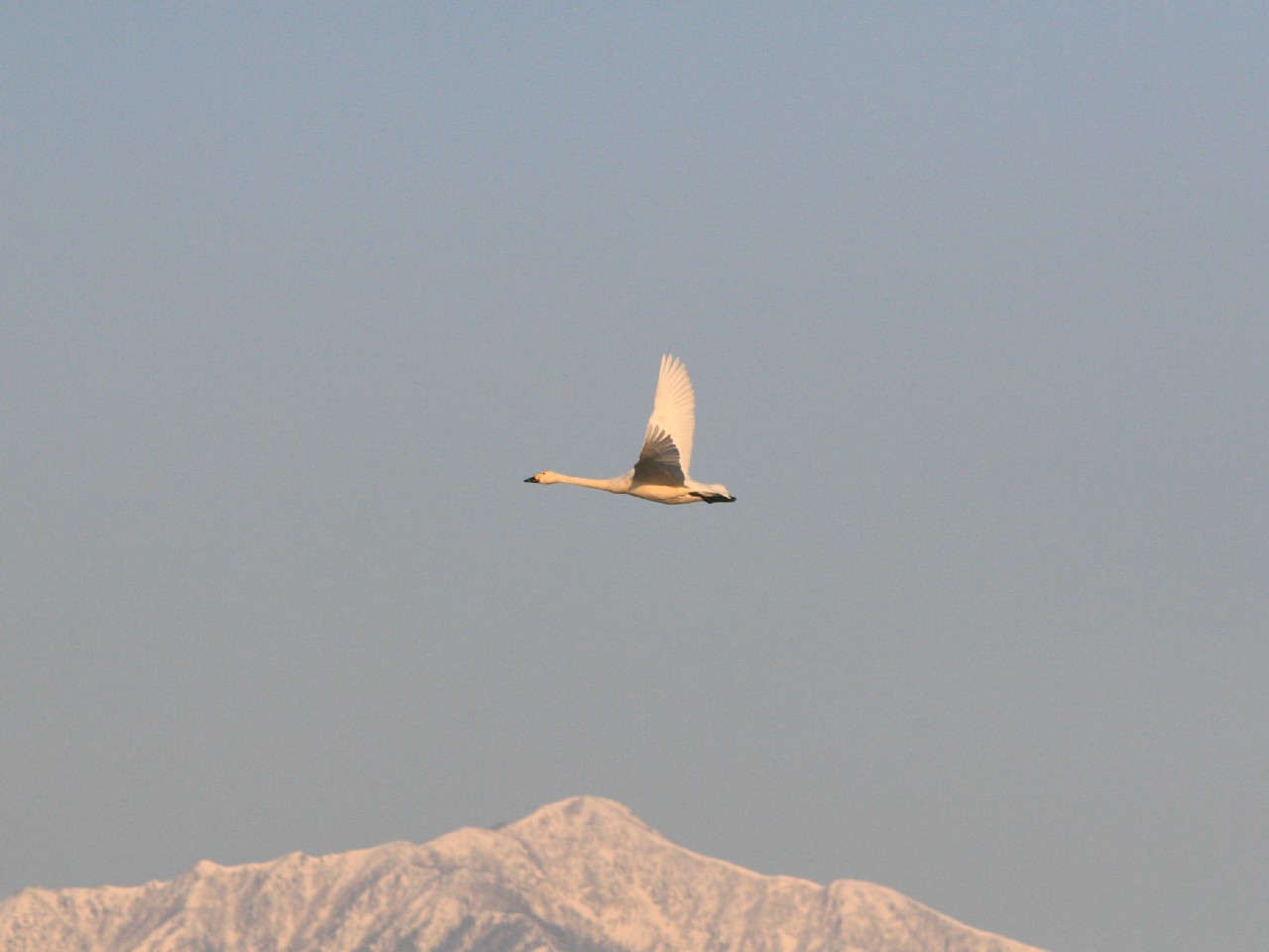 e0103903_1910967.jpg