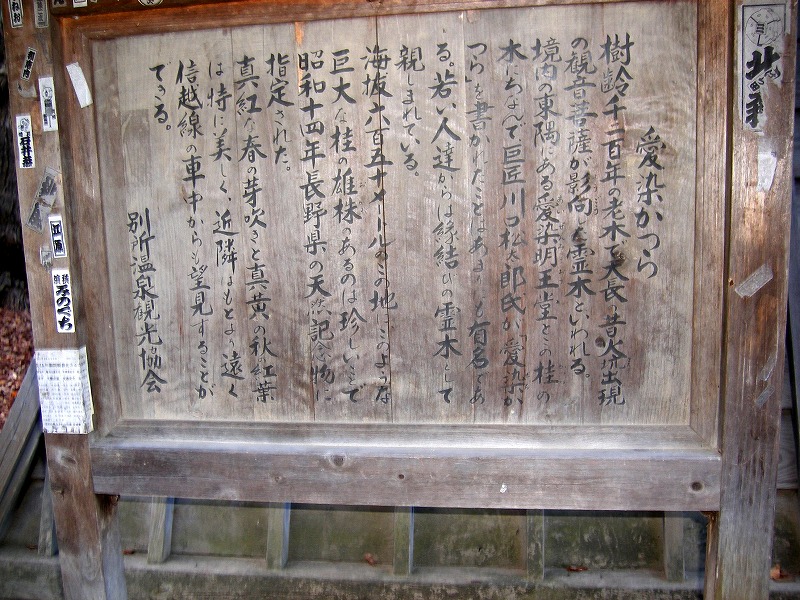 c0115804_6414749.jpg