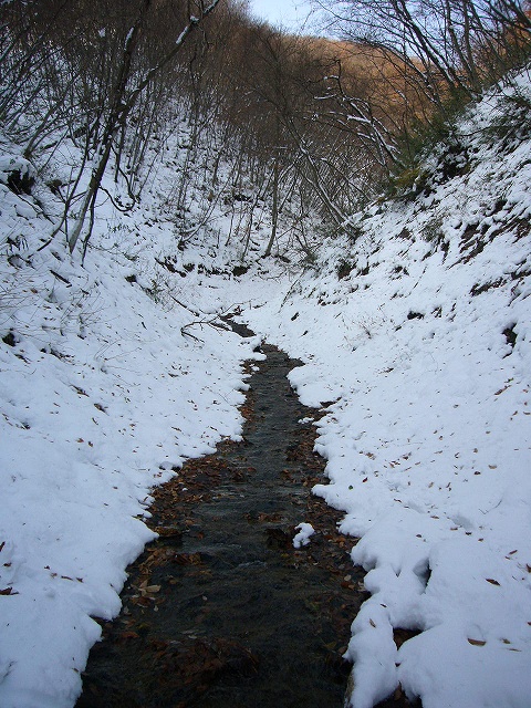 b0050305_7291730.jpg