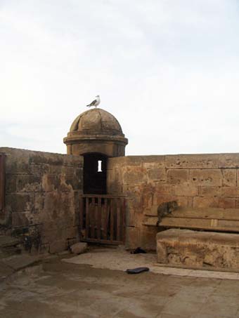 b0077906_2565322.jpg