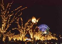 神戸ハーバーランド、今年で14回目のイルミネーションをガス燈通りで実施 兵庫県神戸市_f0061306_9215388.jpg
