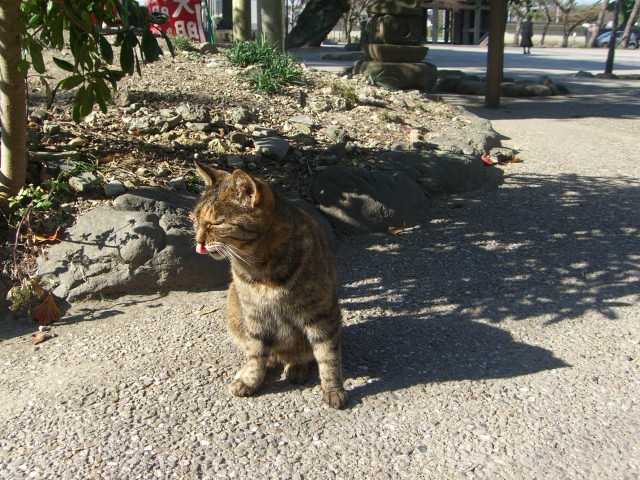 鎌倉部_a0088007_23285623.jpg