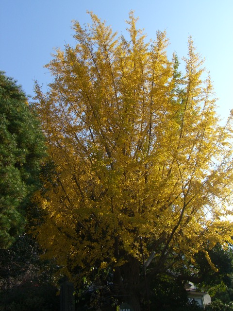 鎌倉部_a0088007_23323397.jpg