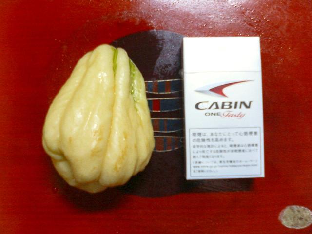 a0072808_1804997.jpg