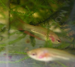 c0111410_2584175.jpg