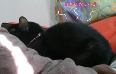 カフェくろねこ通信　Ｎｏ.４_c0027311_16401841.jpg