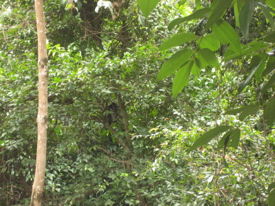 d0077811_2305171.jpg
