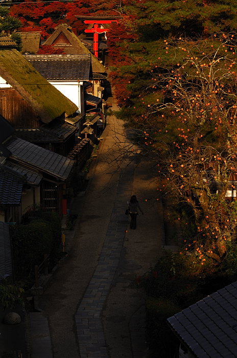 2007紅葉巡り・嵯峨野鳥居本_f0032011_20301124.jpg