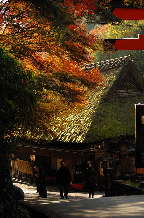 2007紅葉巡り・嵯峨野鳥居本_f0032011_20311848.jpg