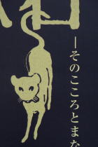 文豪・夏目漱石/ごめんなすっ展展展/FM世田谷・芸能ゲスト フラッシュ~探査機かぐや_f0006713_1064928.jpg