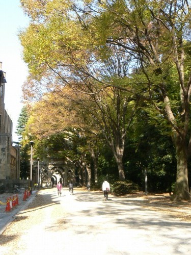e0075015_16193989.jpg