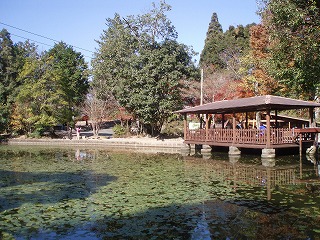 f0092416_14462026.jpg