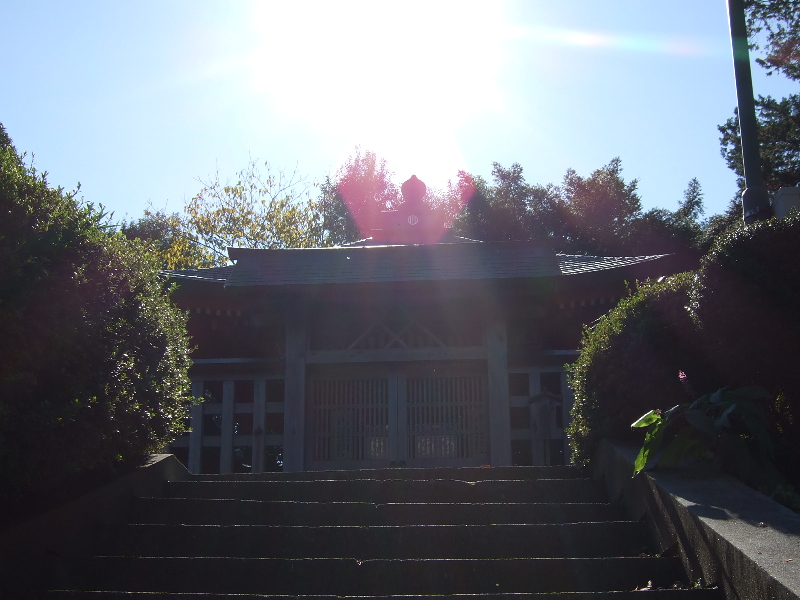 f0143119_1156751.jpg