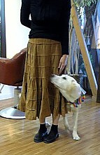 c0114121_21553814.jpg