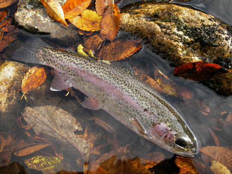 f0135123_1716536.jpg