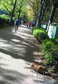 a0036626_2119598.jpg