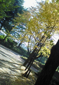 a0036626_21273994.jpg