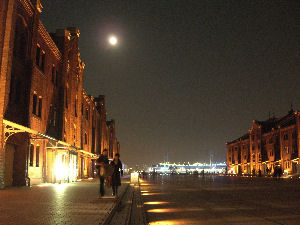 d0031826_23393.jpg