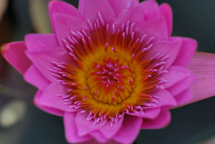 e0037126_23362752.jpg
