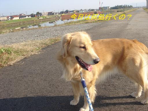 日本庭園(芦城公園)の散歩_f0114128_211254.jpg
