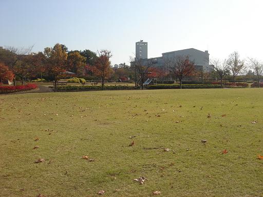日本庭園(芦城公園)の散歩_f0114128_2117017.jpg