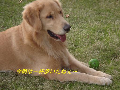 日本庭園(芦城公園)の散歩_f0114128_2121516.jpg