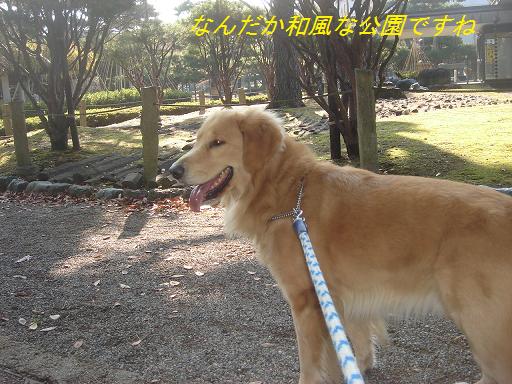 日本庭園(芦城公園)の散歩_f0114128_212516.jpg
