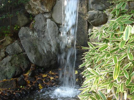 日本庭園(芦城公園)の散歩_f0114128_2172040.jpg