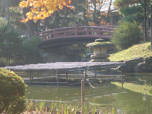 日本庭園(芦城公園)の散歩_f0114128_21822.jpg